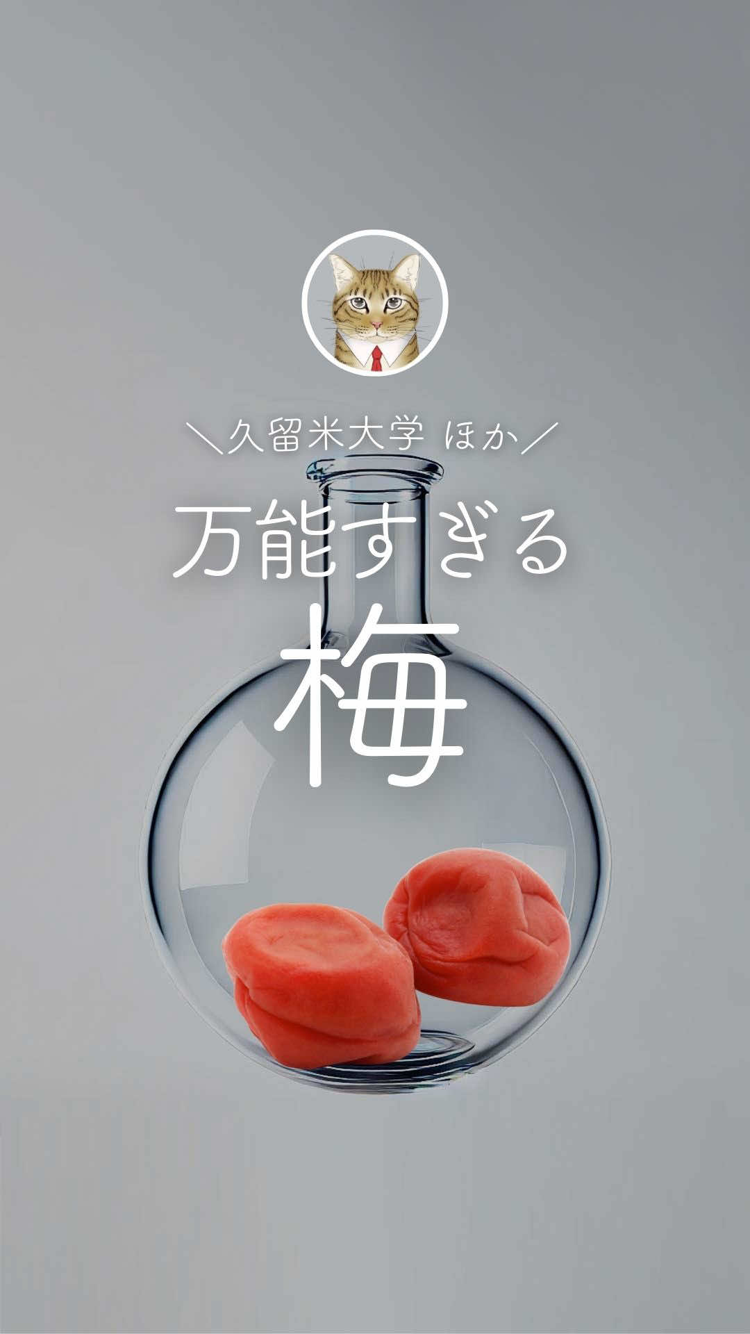 @しんのすけ🐾