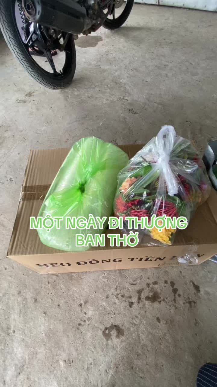 @🪷Diệu Hạnh📿
