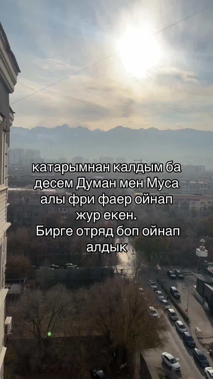 @310.respublicasy