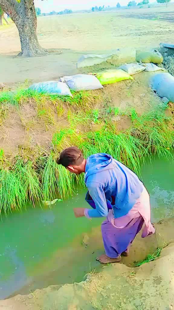 @Ashok thakur