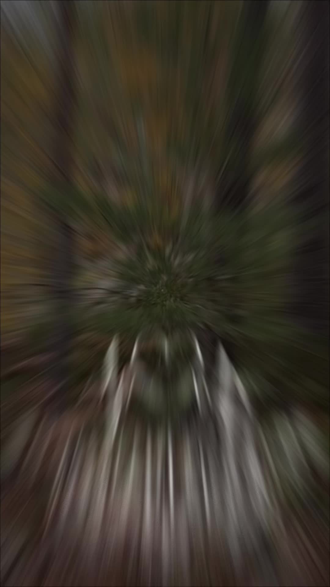 @🥀♔༻𝕃𝕀𝕃𝕀ℙ𝔸ℝ𝕀𝕊༺♔🥀