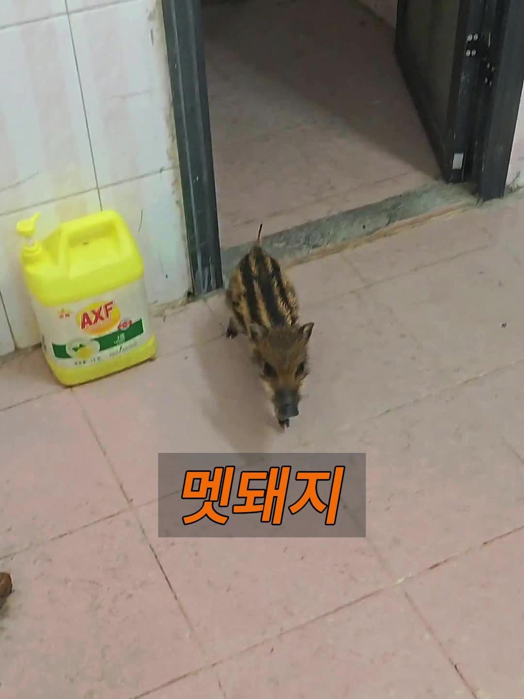 @삼촌Cut2025