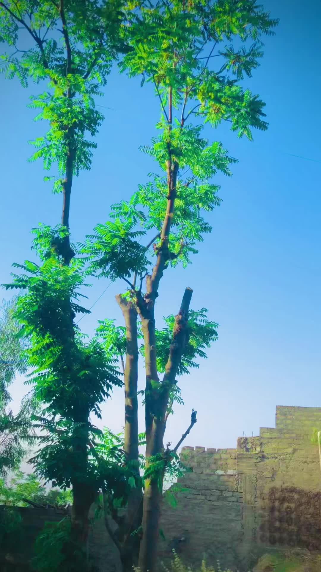 @꧁༒&bull;L&bull;R &bull;6t6&bull;༒꧂