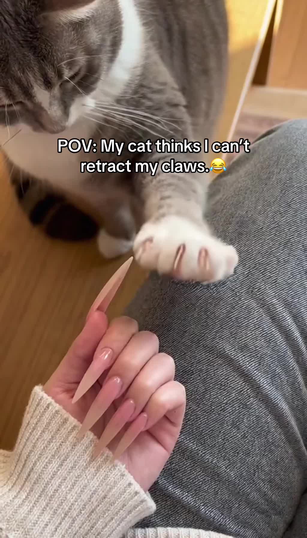 @petslovers521