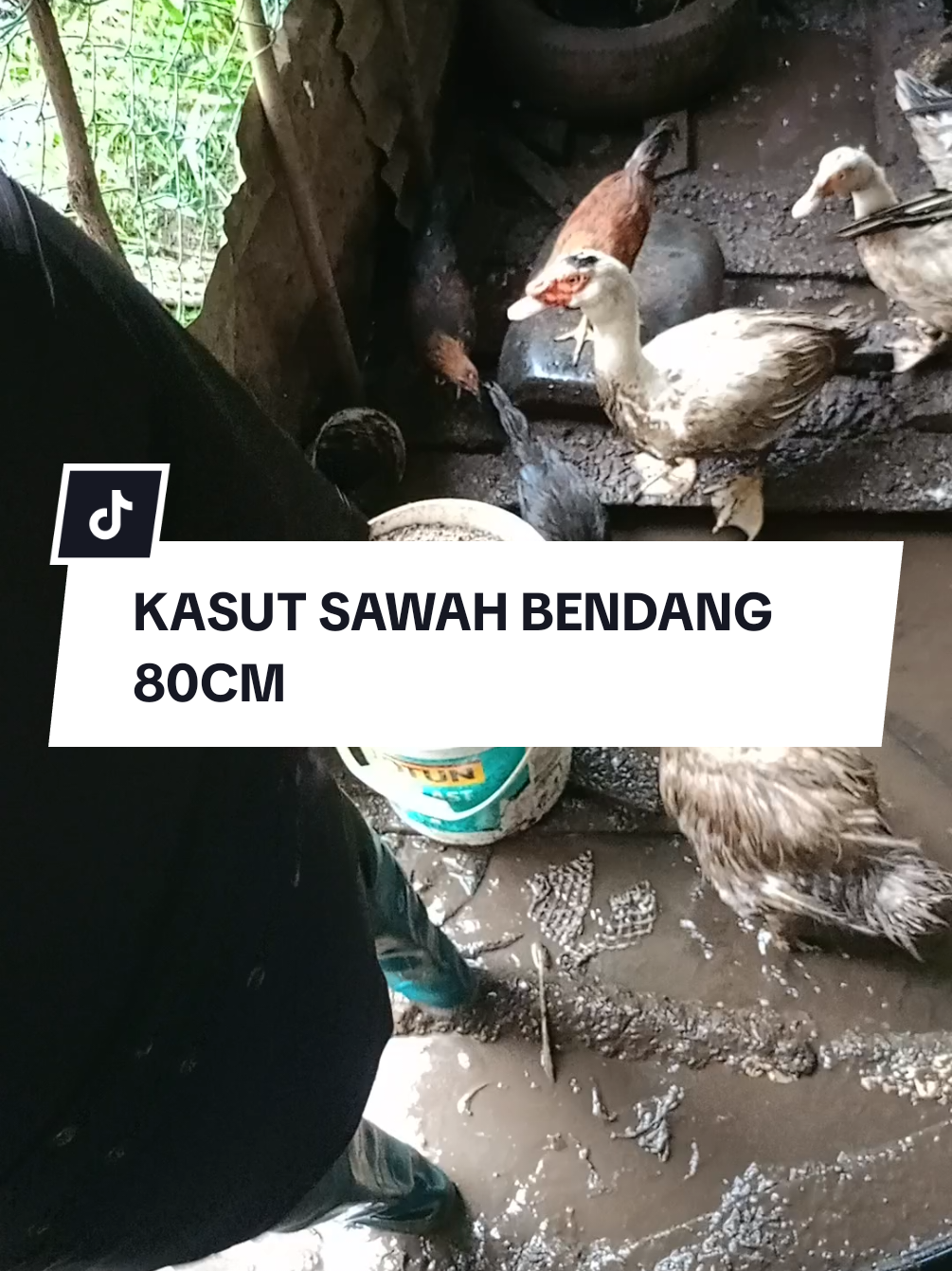 @Zue Ida