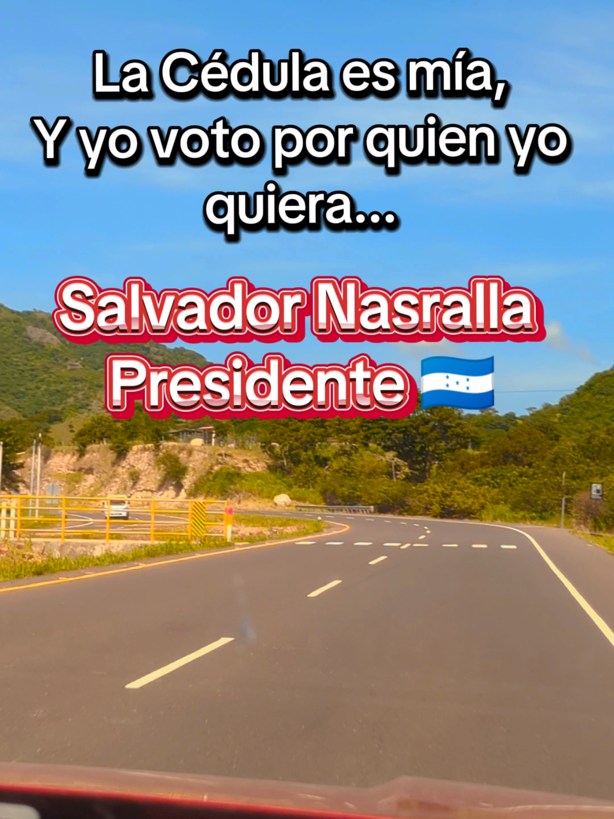 @🌿Ver&oacute;nica de Castellanos🌿