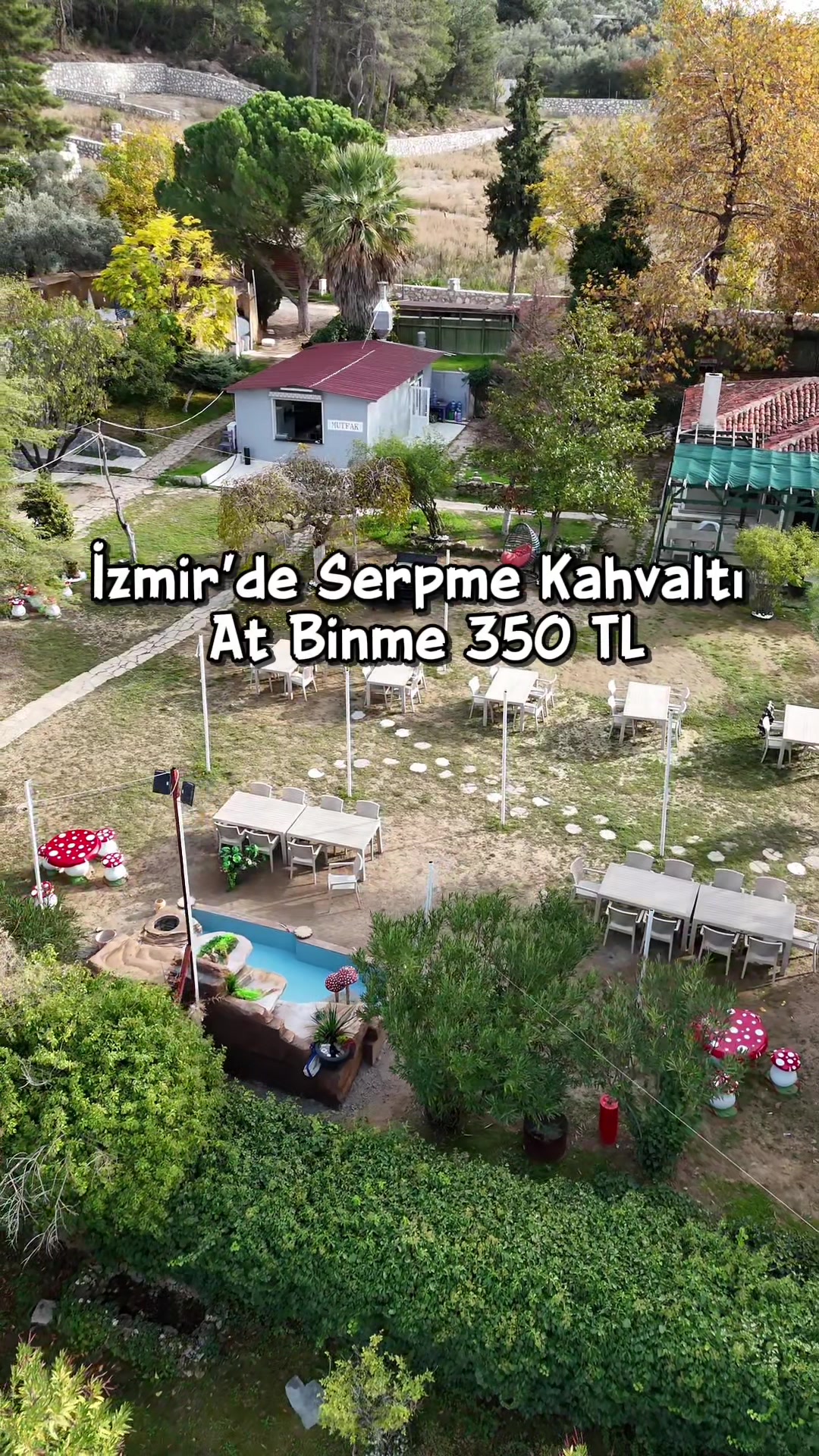 @gezegemiz