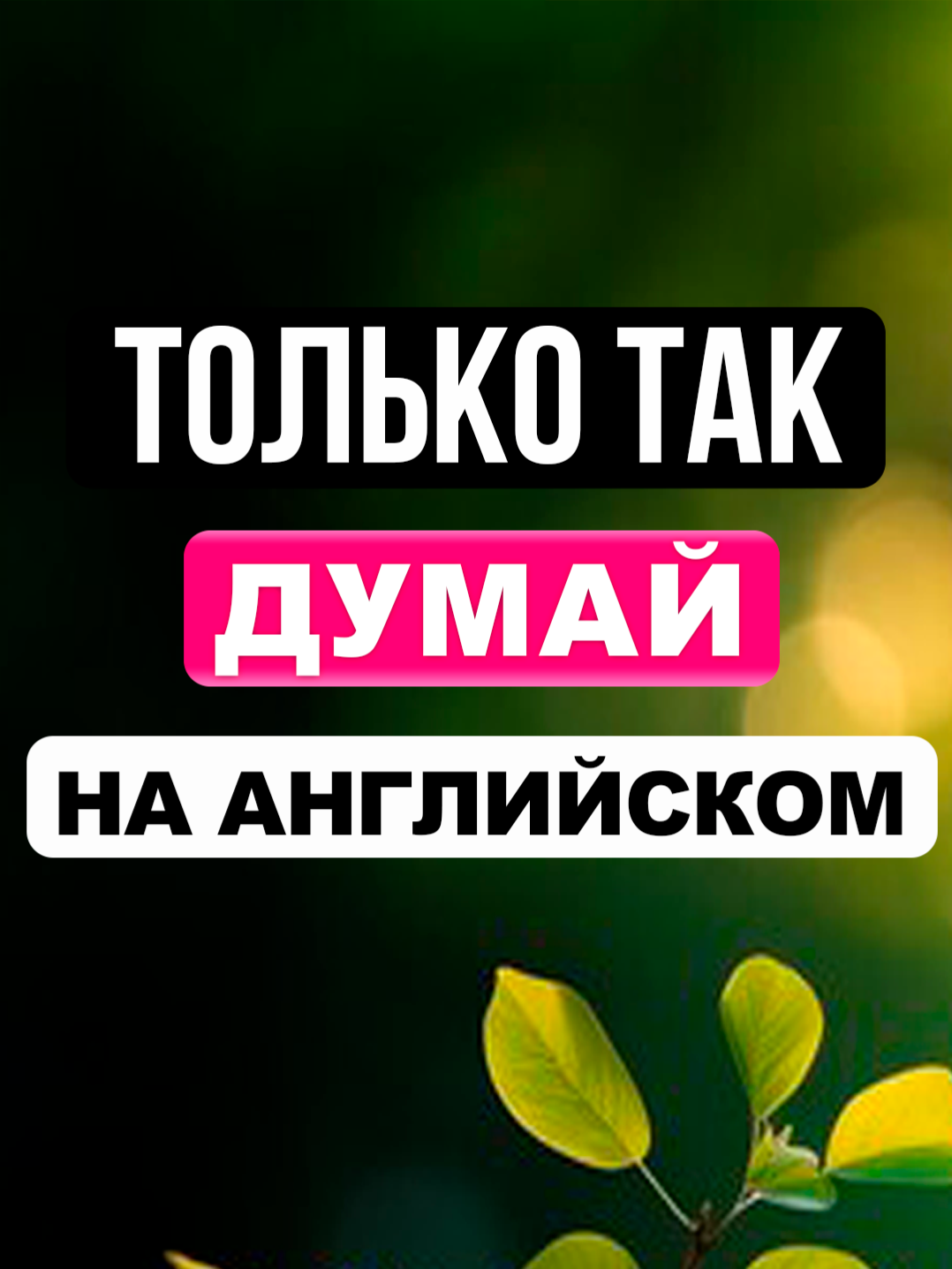@EnglishFast