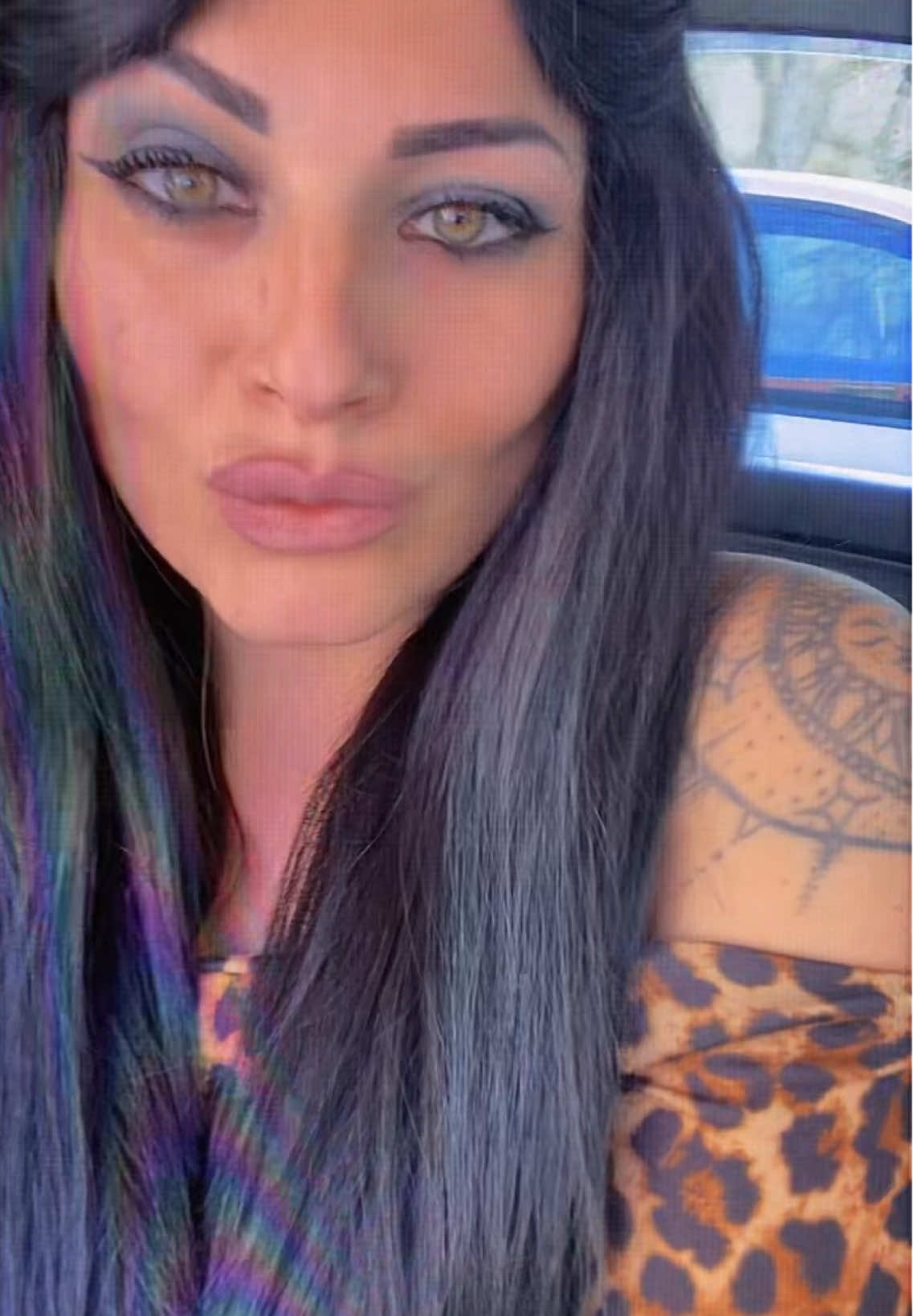 @dinacardone_official