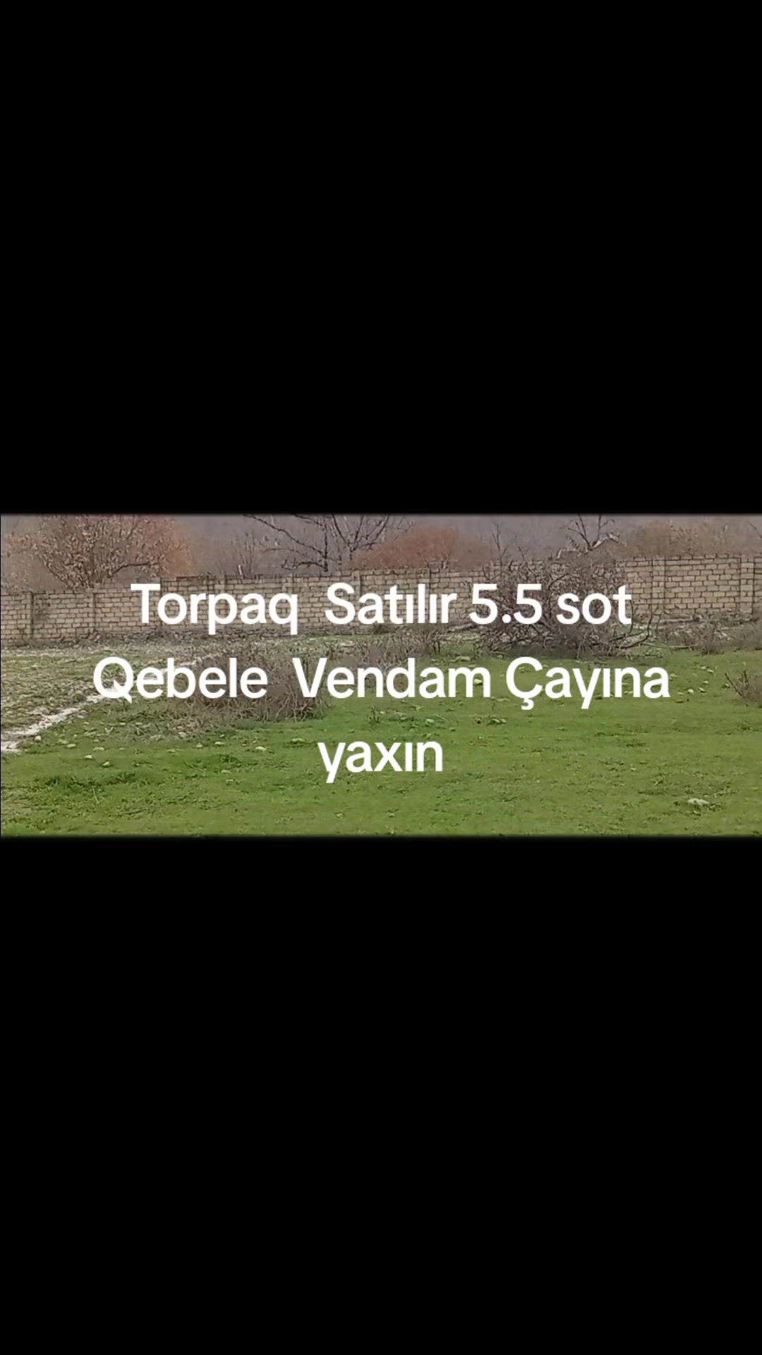 @Qebele  Vendam.036