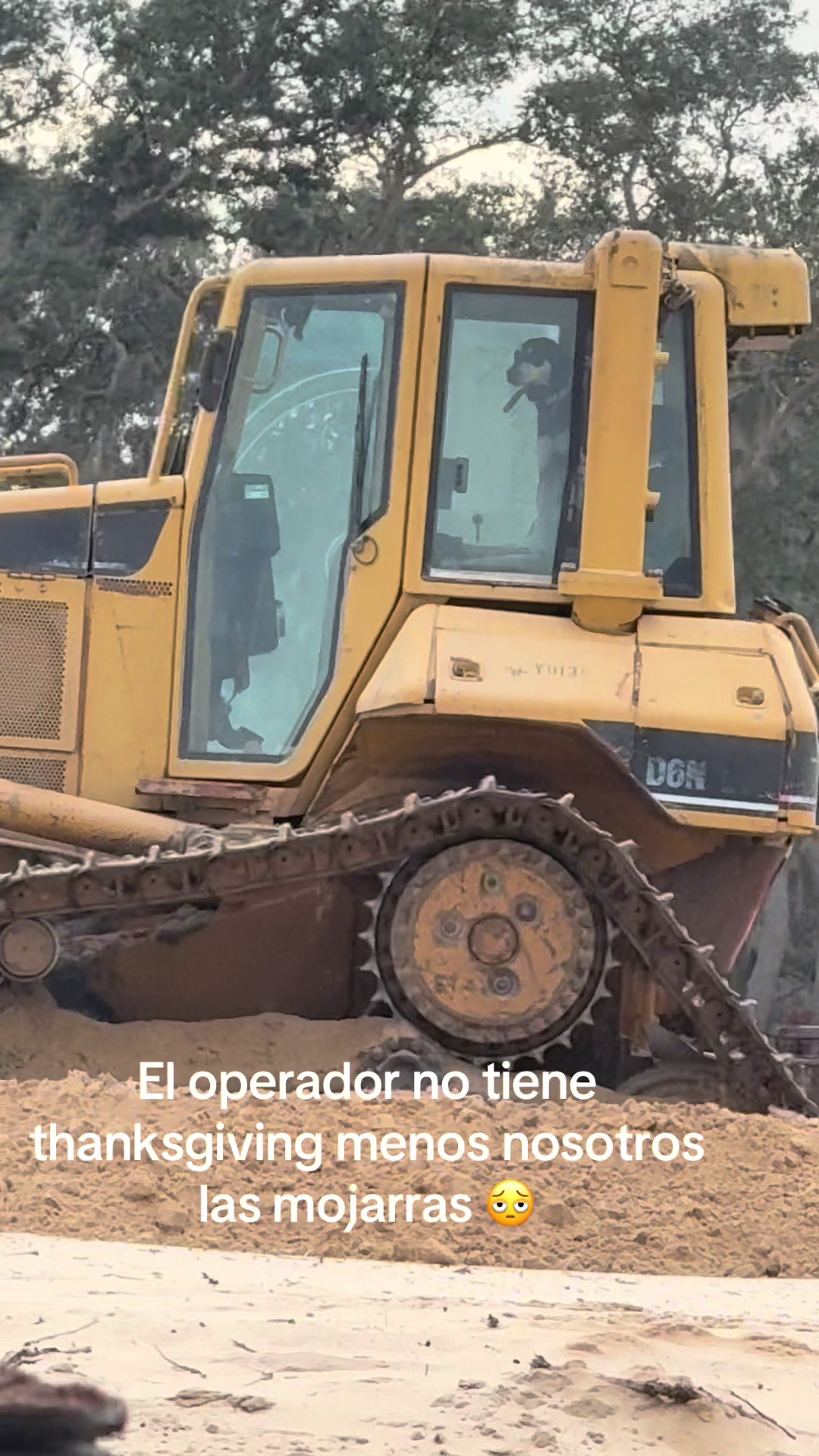 @LeoHernand&eacute;z:😉😎