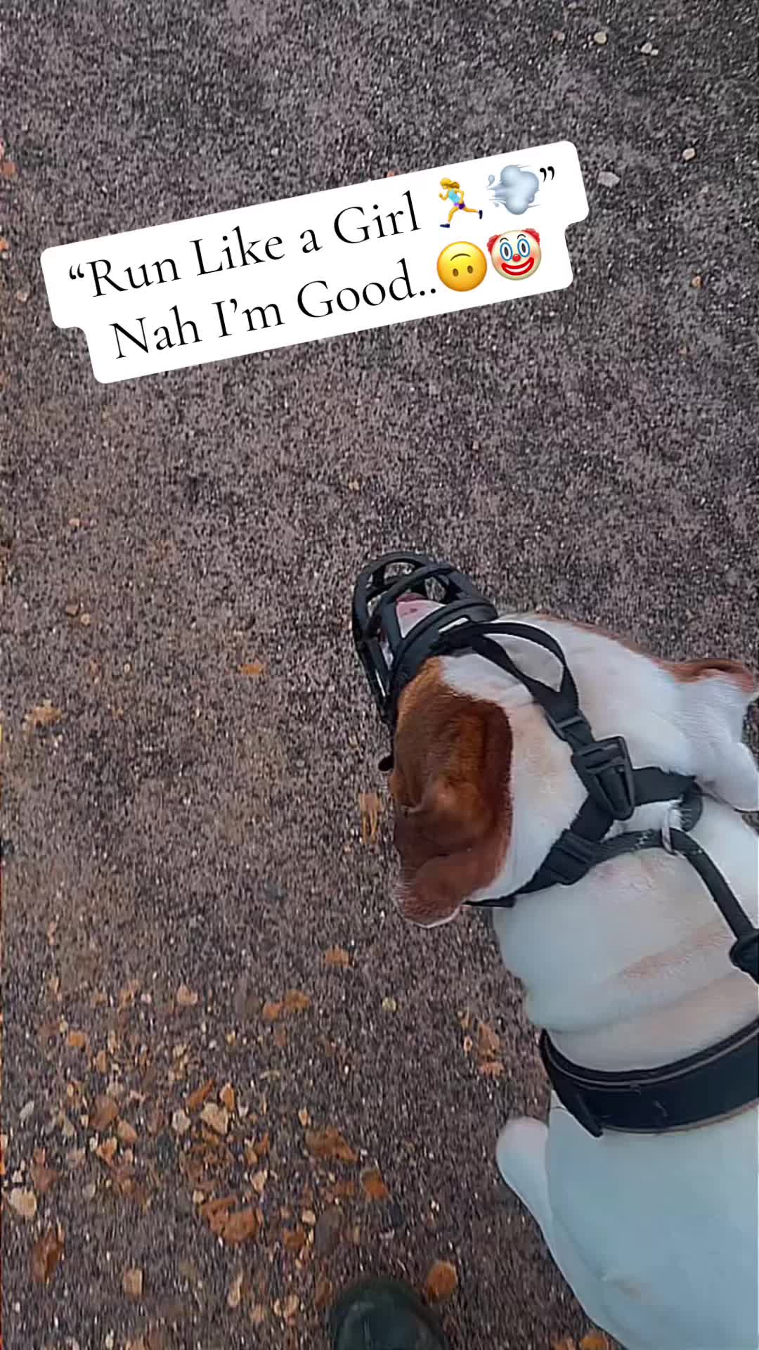 @A.