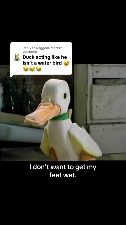 @OldBearSquad