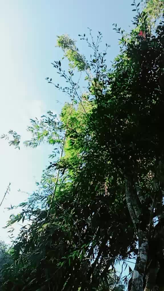 @P&acirc;&oslash; Ĥ&oslash;ṃ ယုမ်ႉ☺️