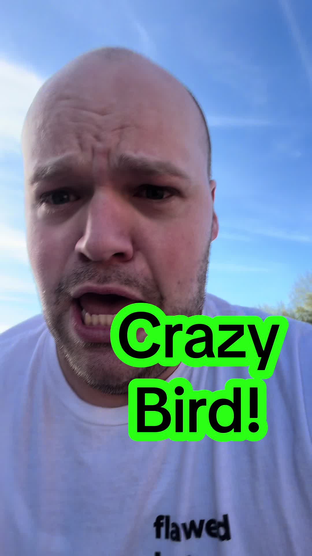 @Spencerisfunny