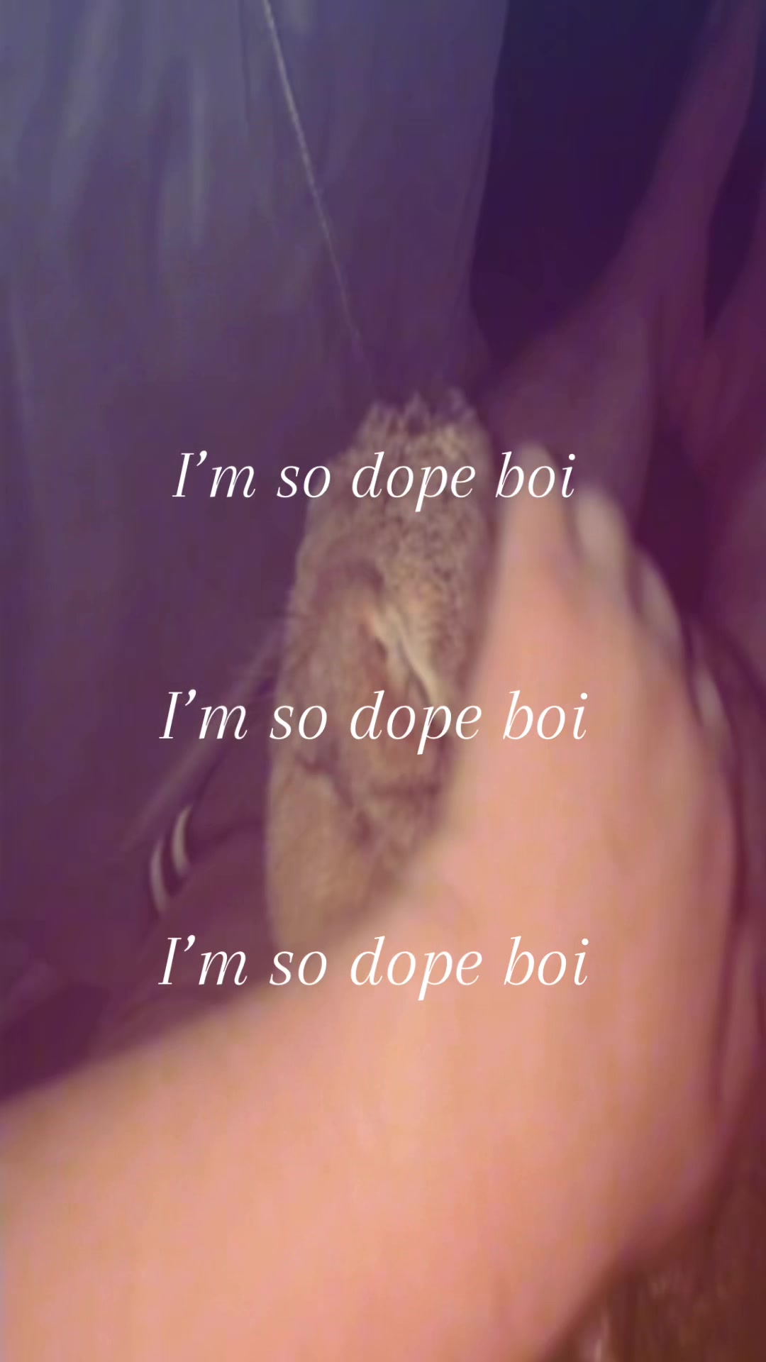 @Fadedbunny69