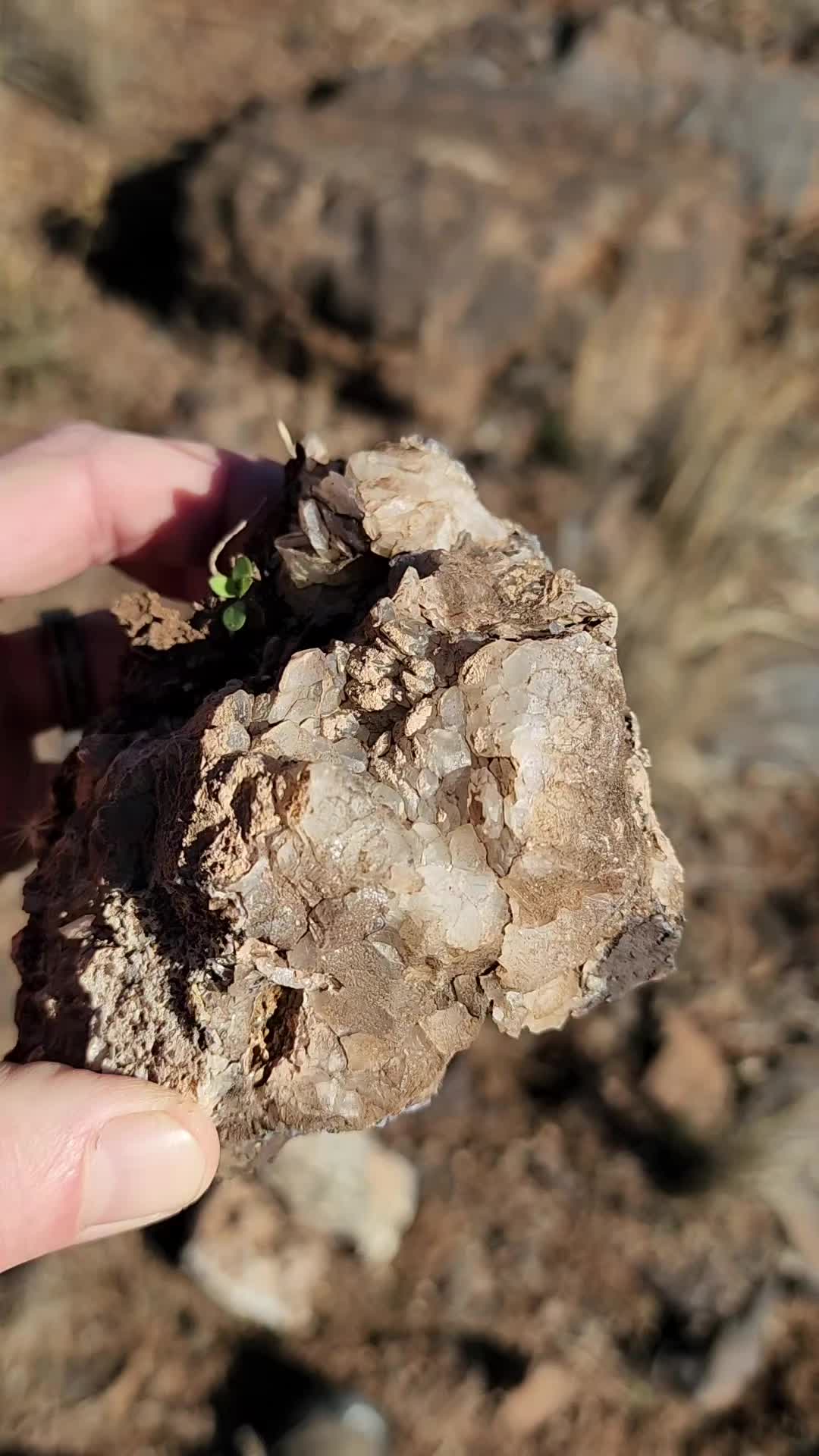 @Agate Magnet