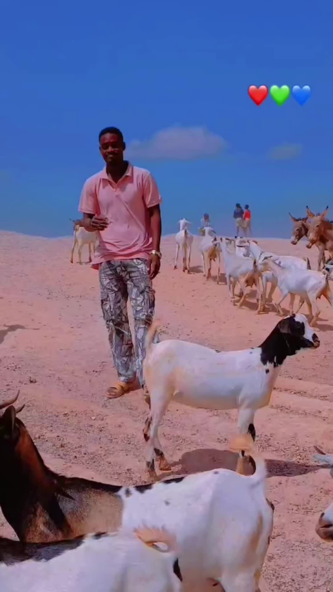 @SIMBA🦅 GANGIS🥷🇸🇴🇦🇿🦅💪