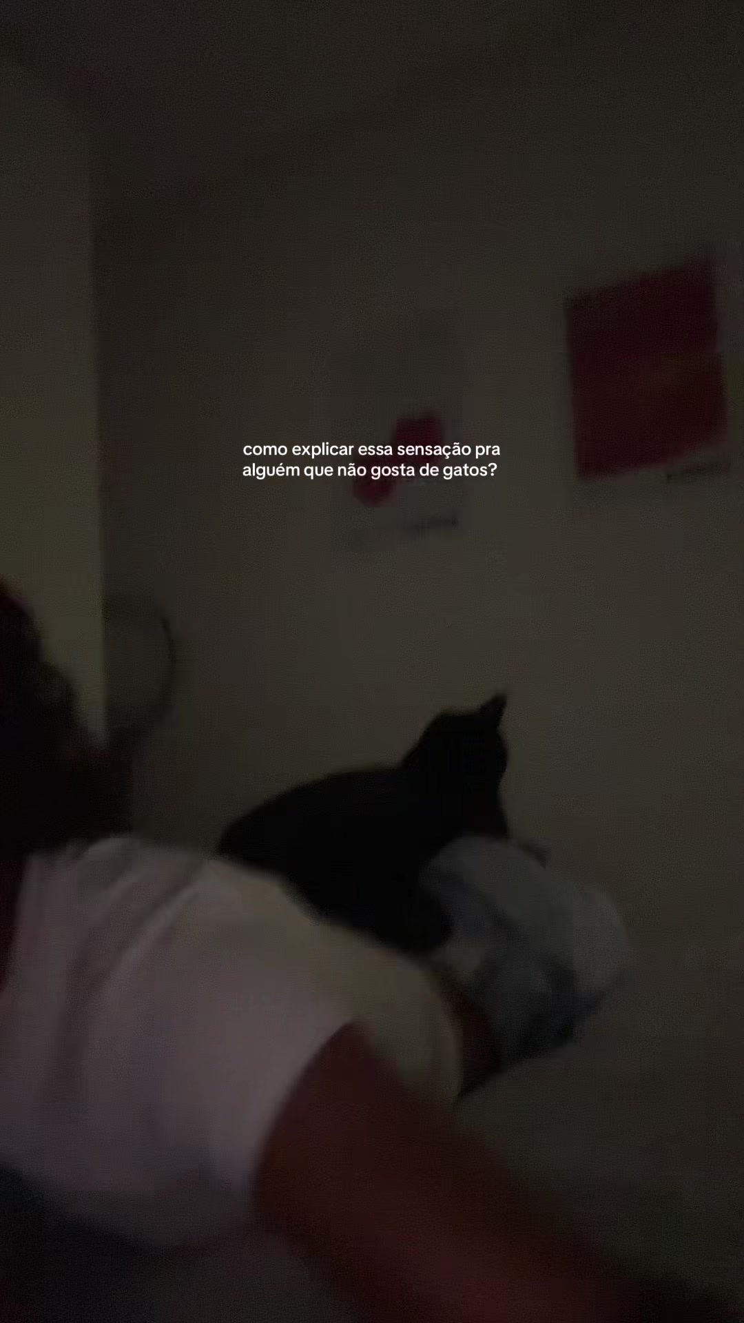@dailyanaluisinha