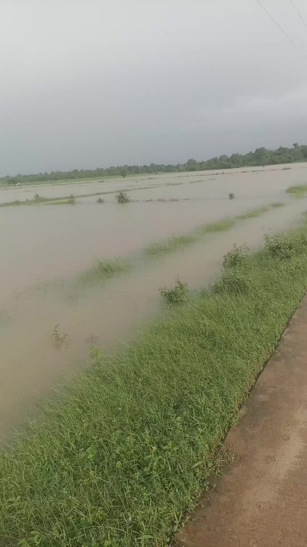 @Kirubakaran