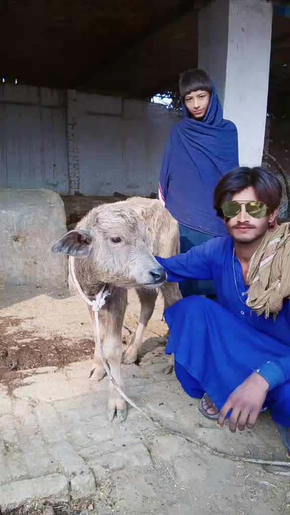 @Walam Kumar