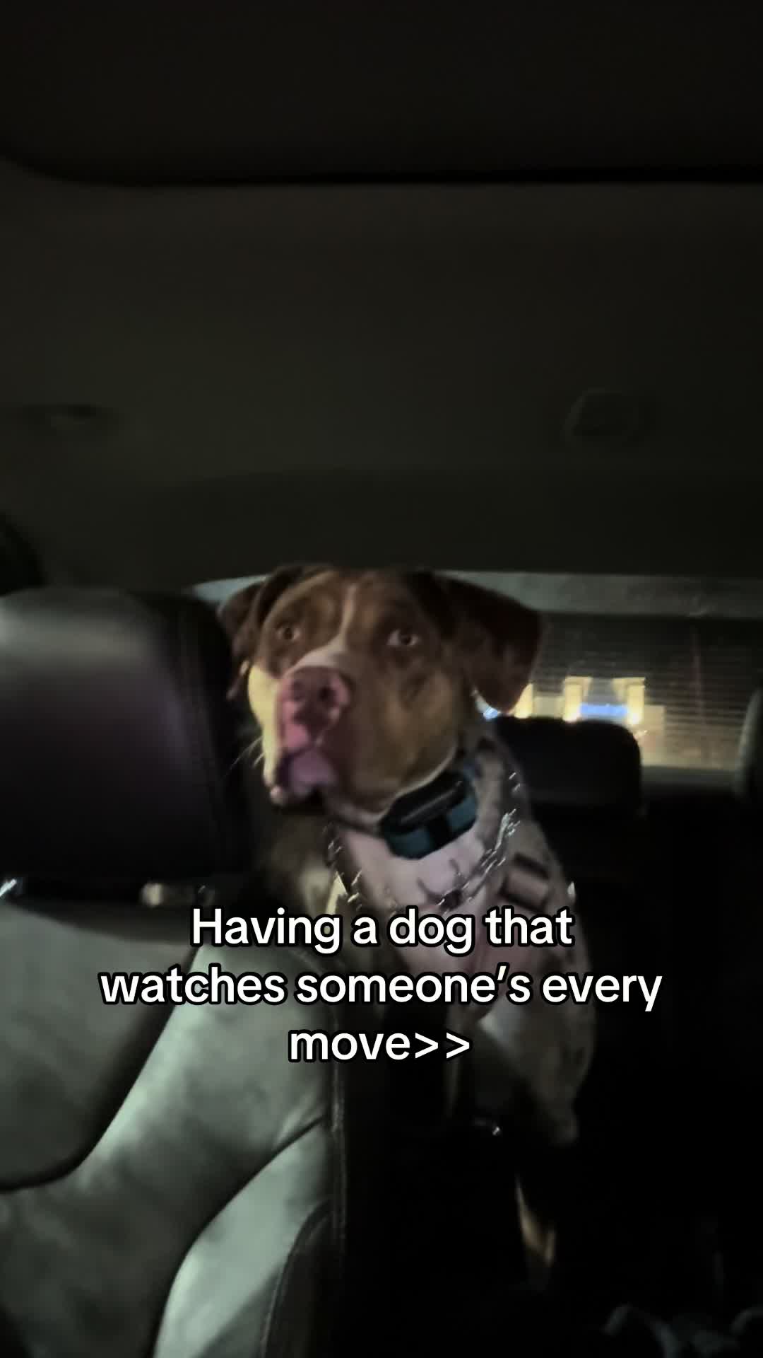 @Waylon