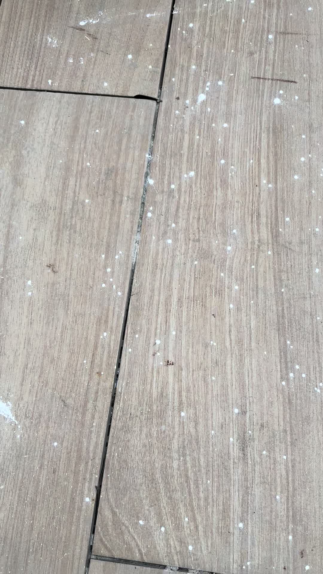 @大鼻恩
