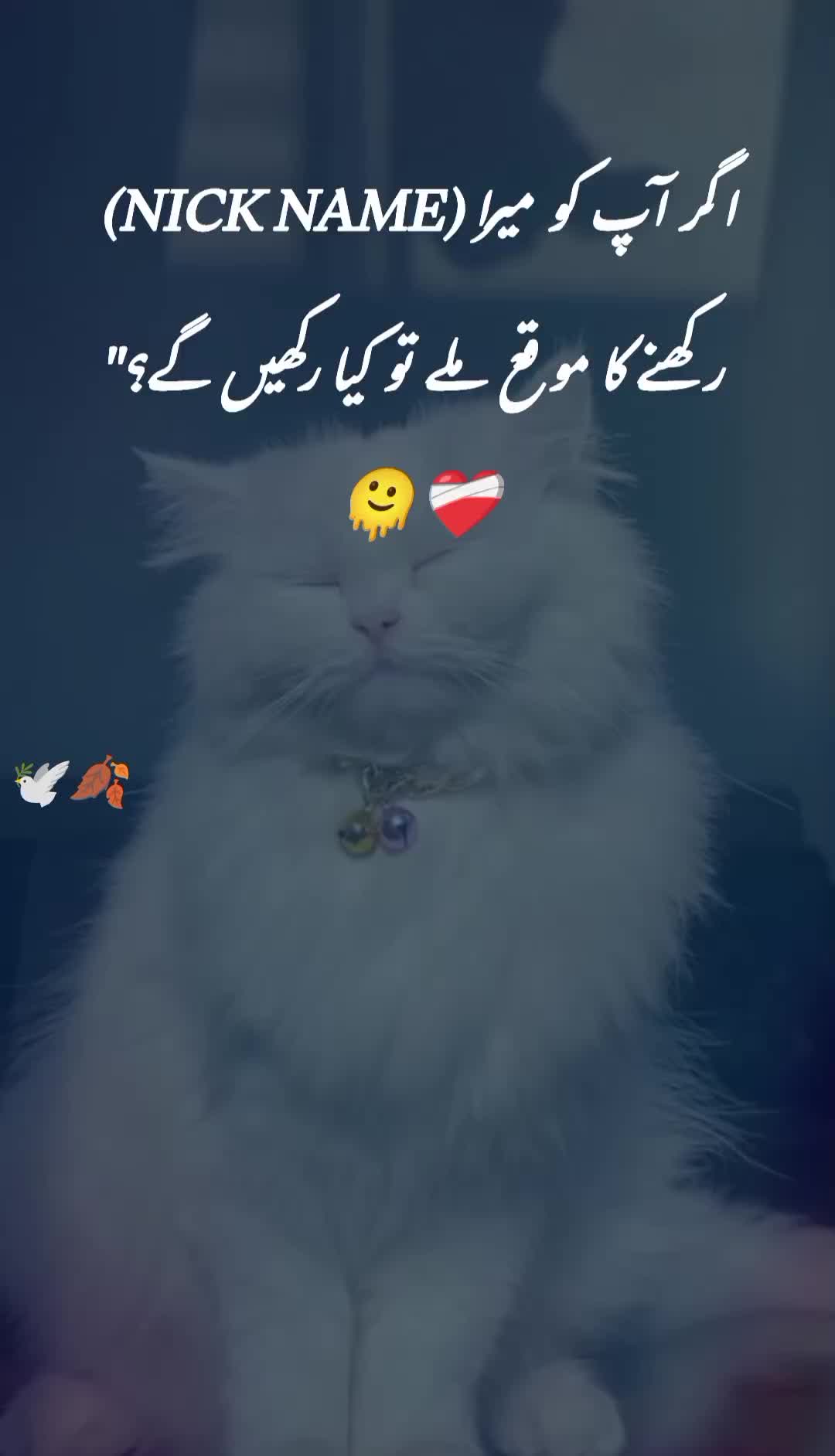 @ﮩـﮩﮩ٨ـ🫀ﮩ٨ـﮩﮩ٨ـ