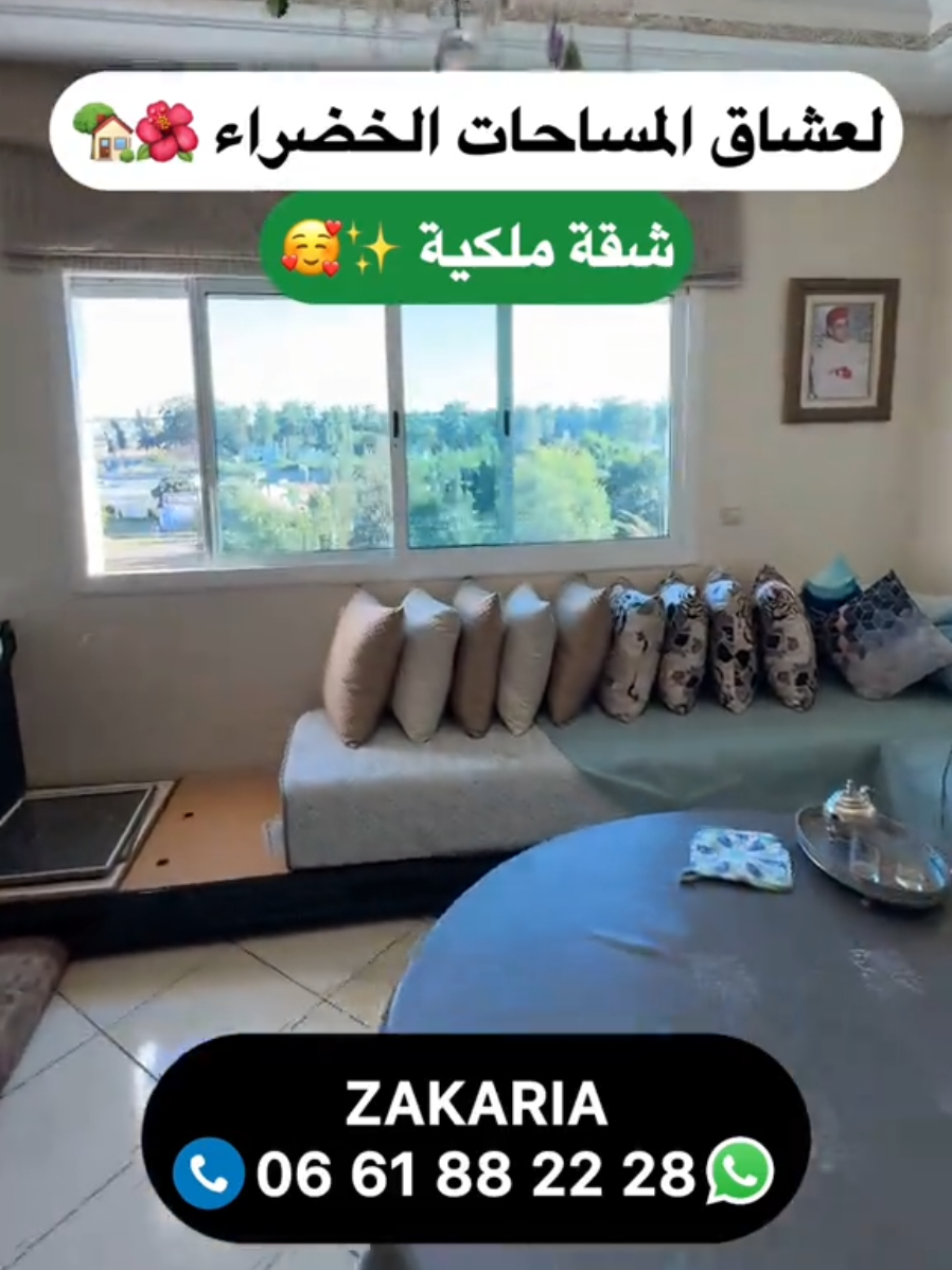 @Zakaria Haddad 🇲🇦🇵🇸