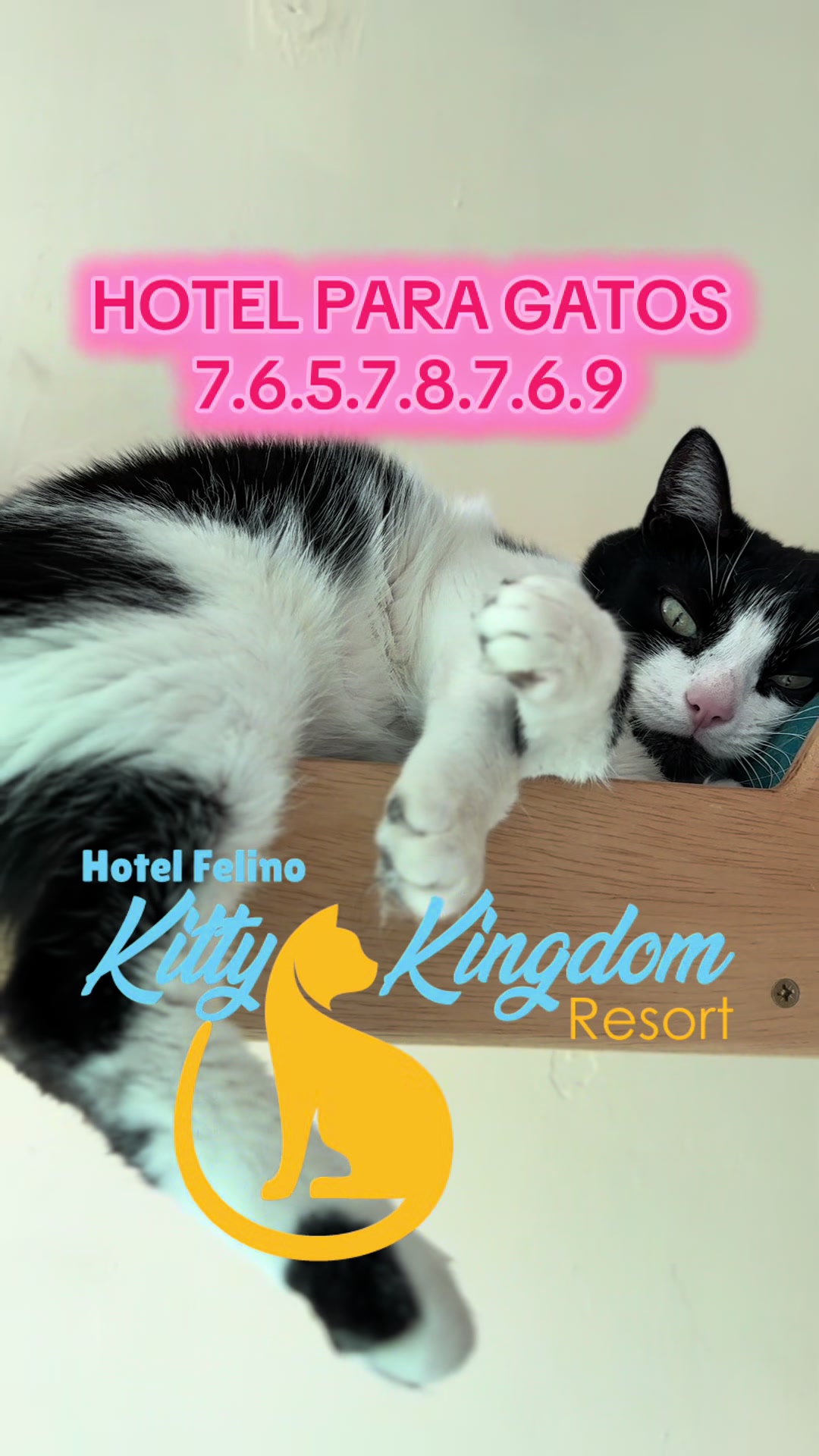 @Hotel Kitty kingdom Resort