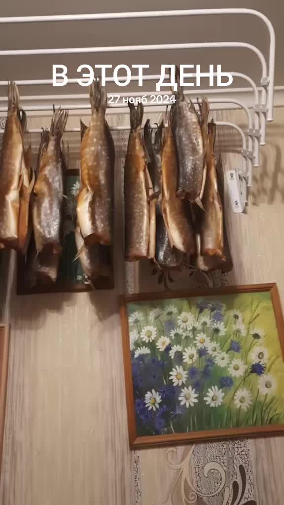 @Александр