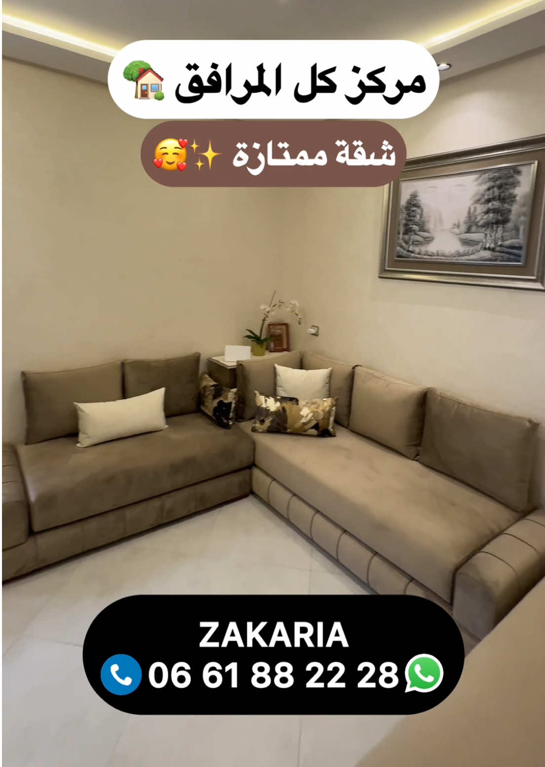 @Zakaria Haddad 🇲🇦🇵🇸