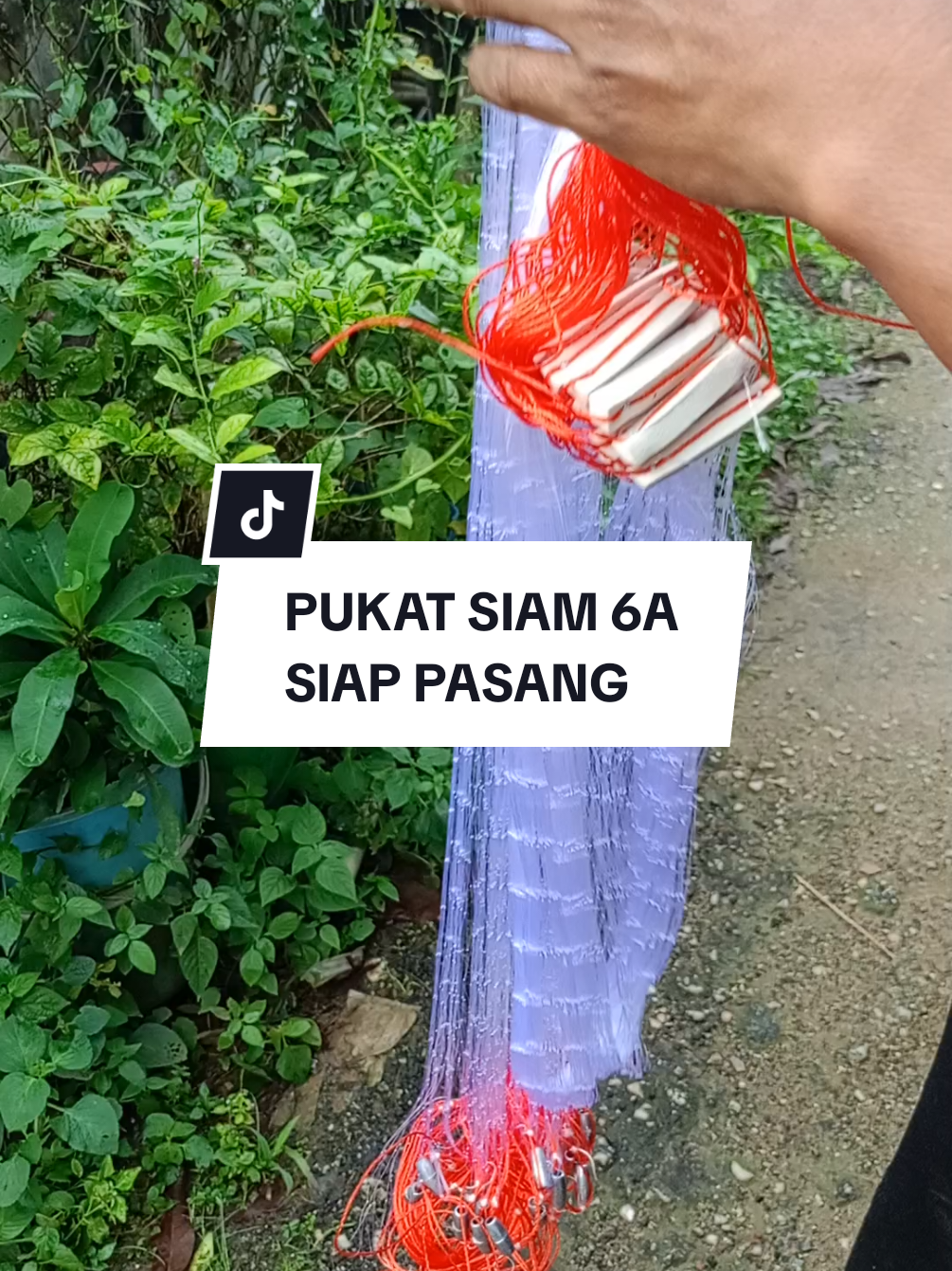 @Zue Ida