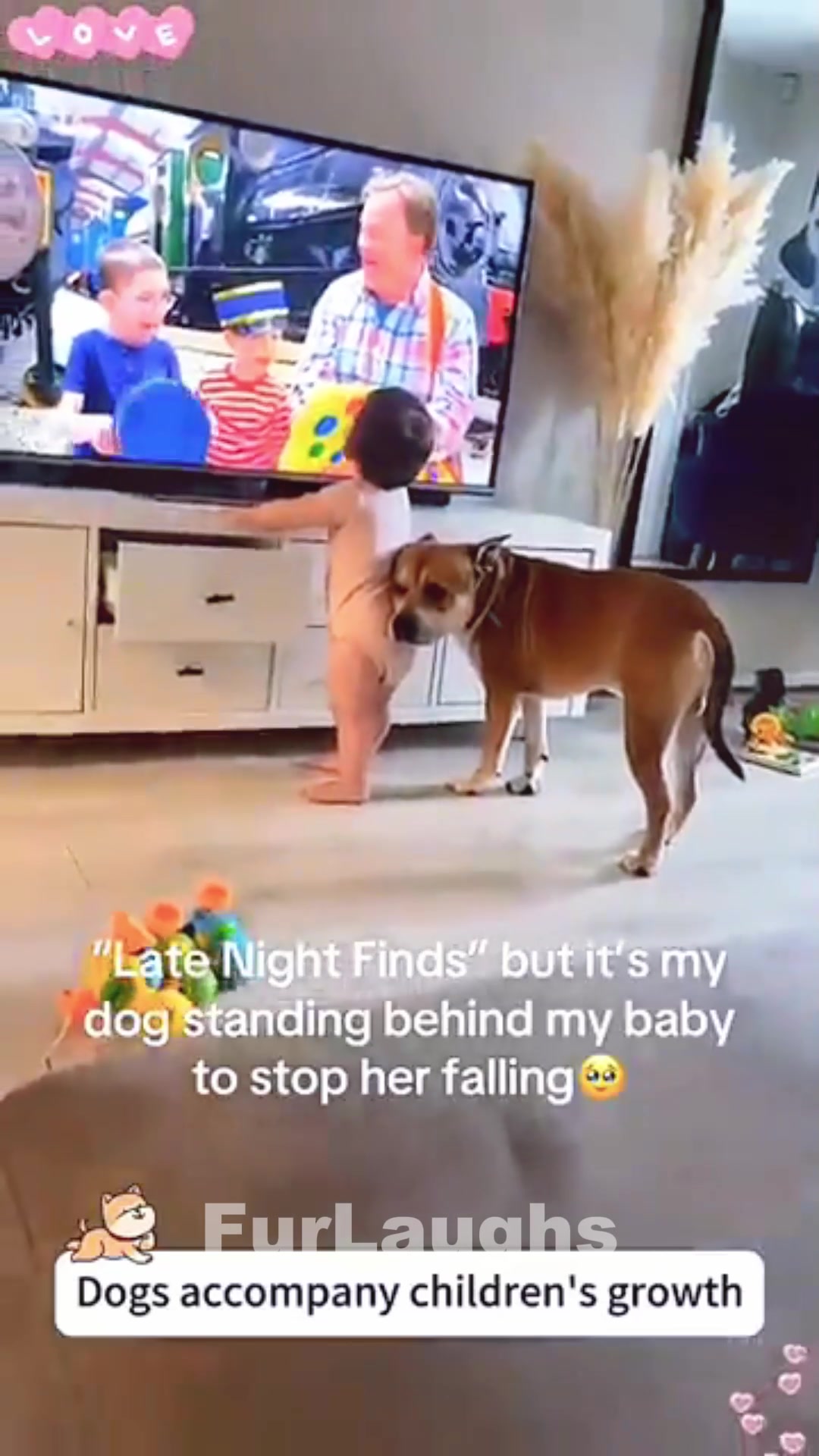 @furlaughs03