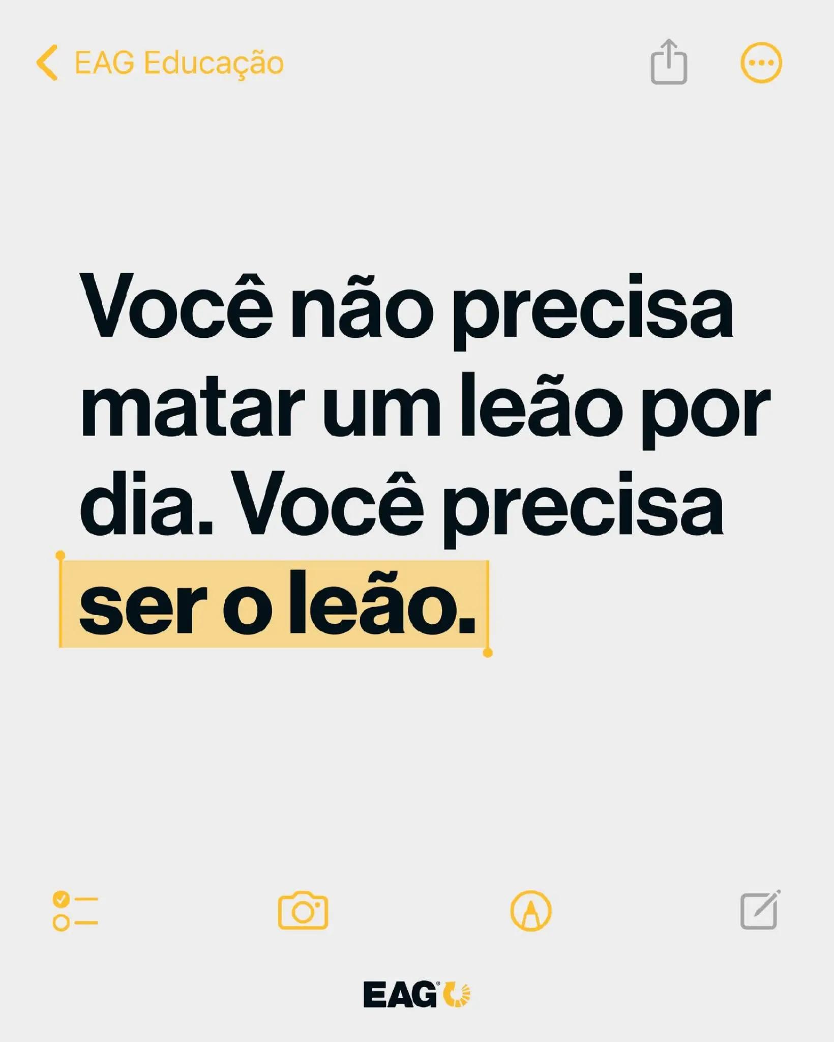 @carlos B Felix