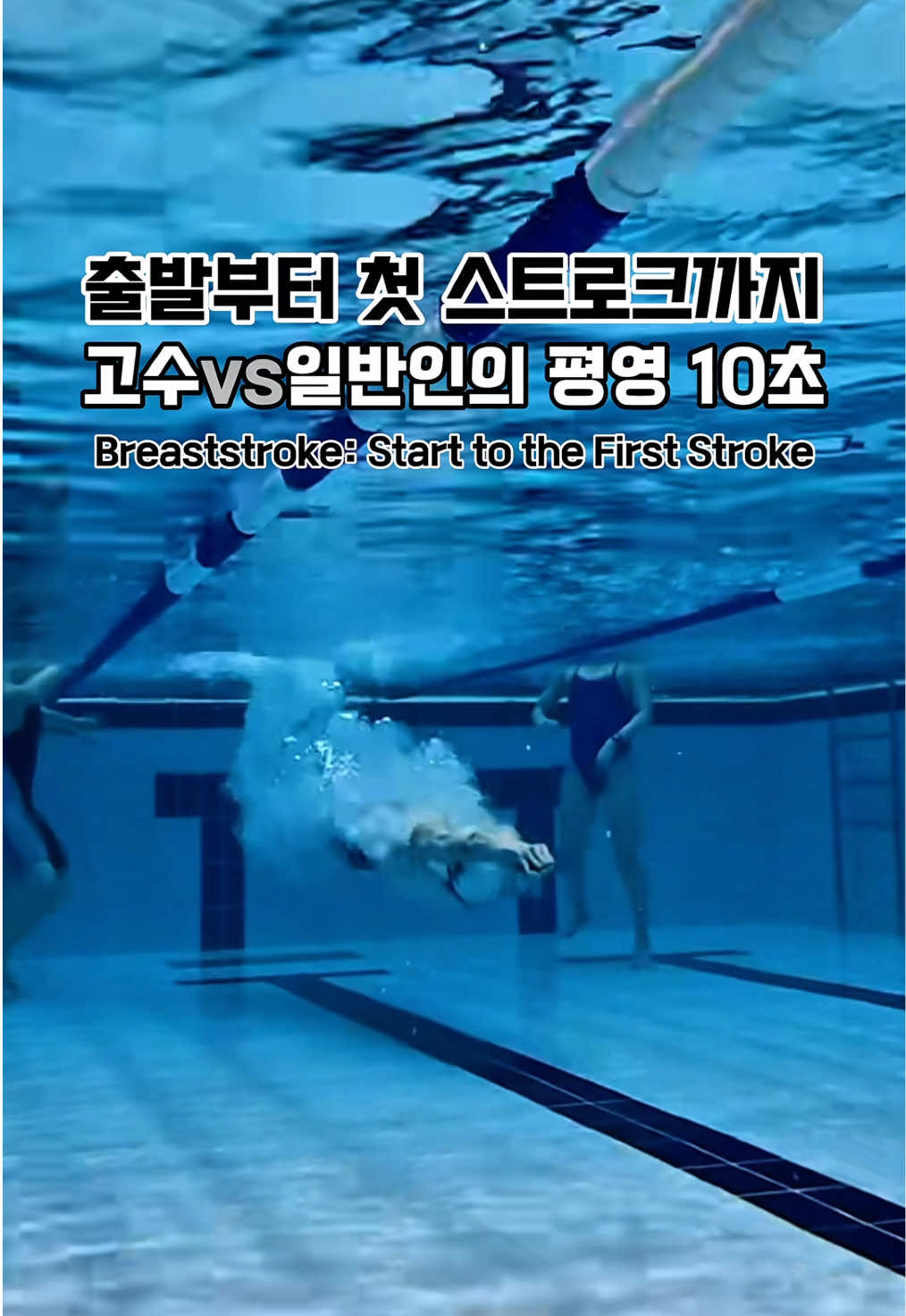@스위머바니 swimmer banny