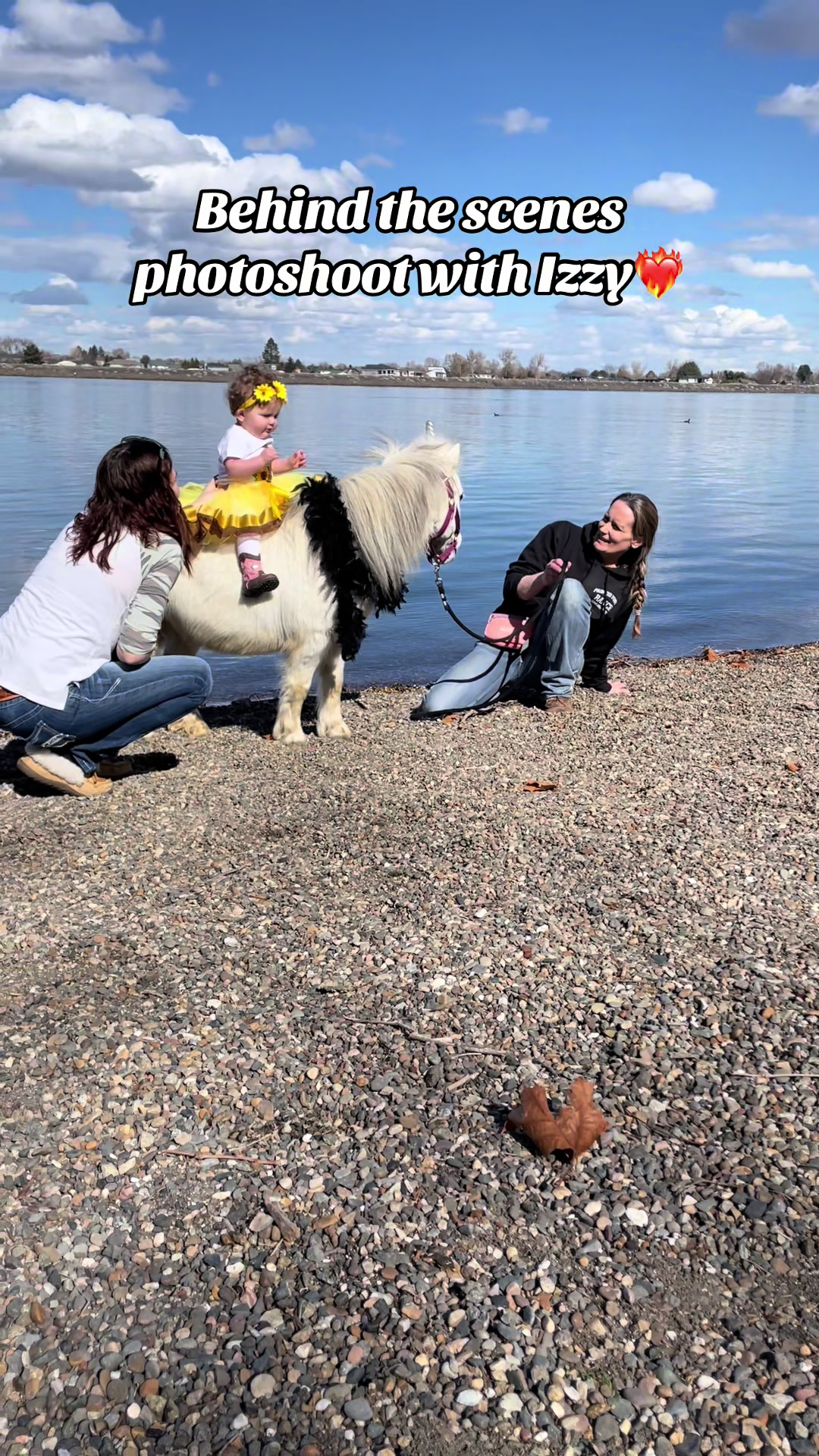 @Hot Sauce the Mini horse 🐎