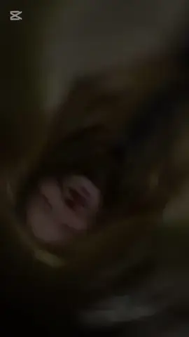 @LAU Mariagerfjord