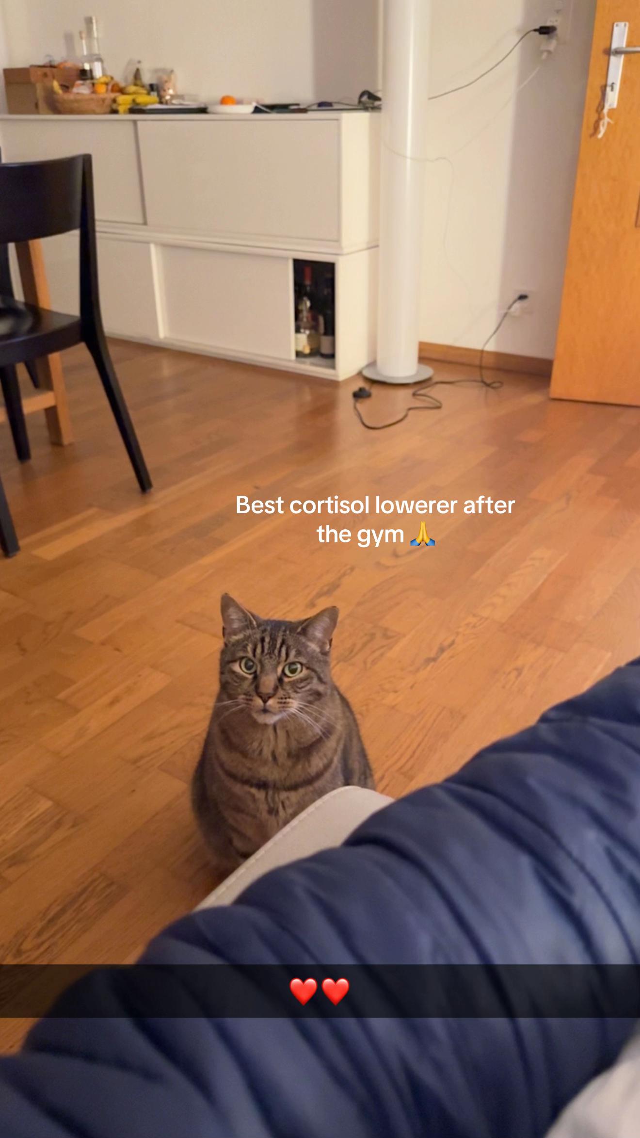 @𝒍𝒆𝒐𝒏𝒏.𝒇𝒊𝒕𝒏𝒆𝒔𝒔