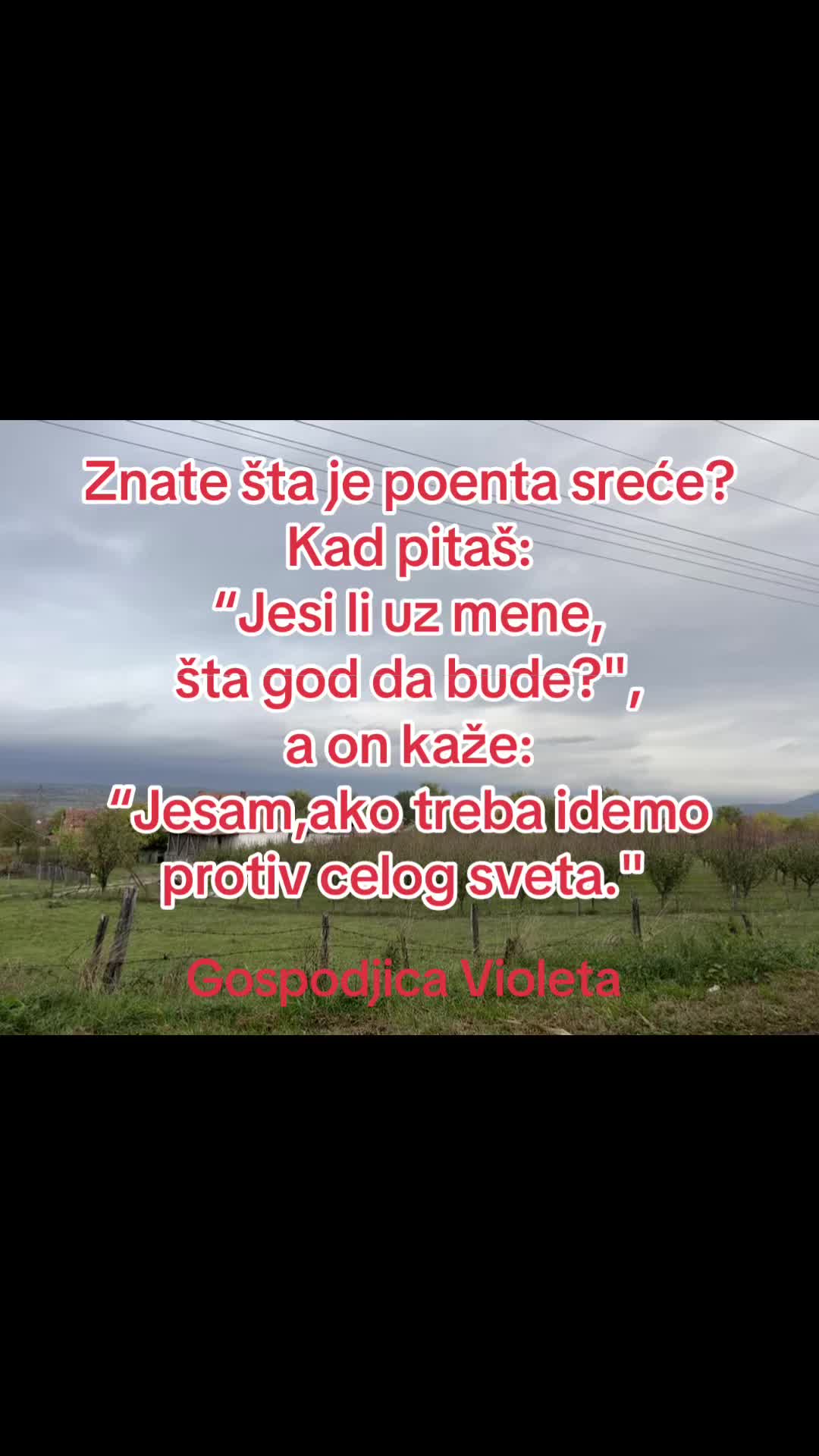 @Gospodjica.Violeta