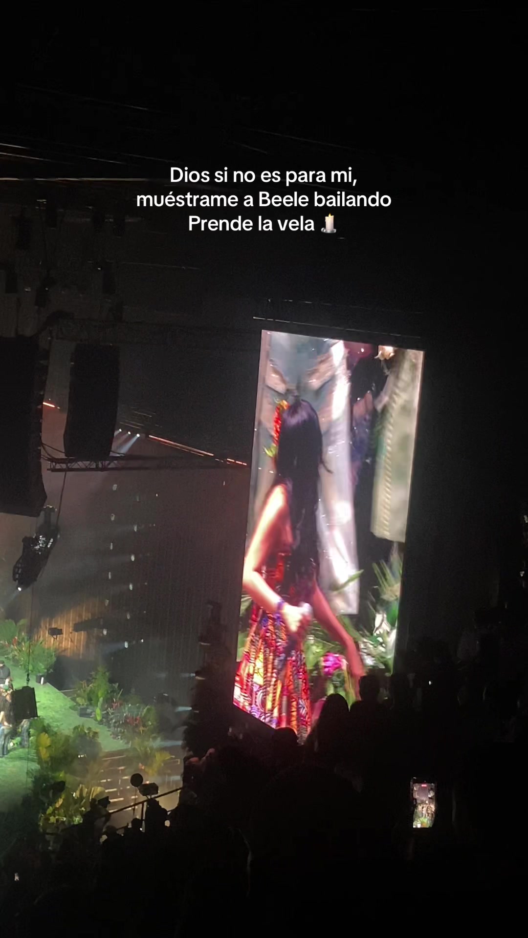 @Alejandra V