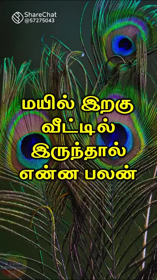 @ஓம் சற்குருவே சரணம்