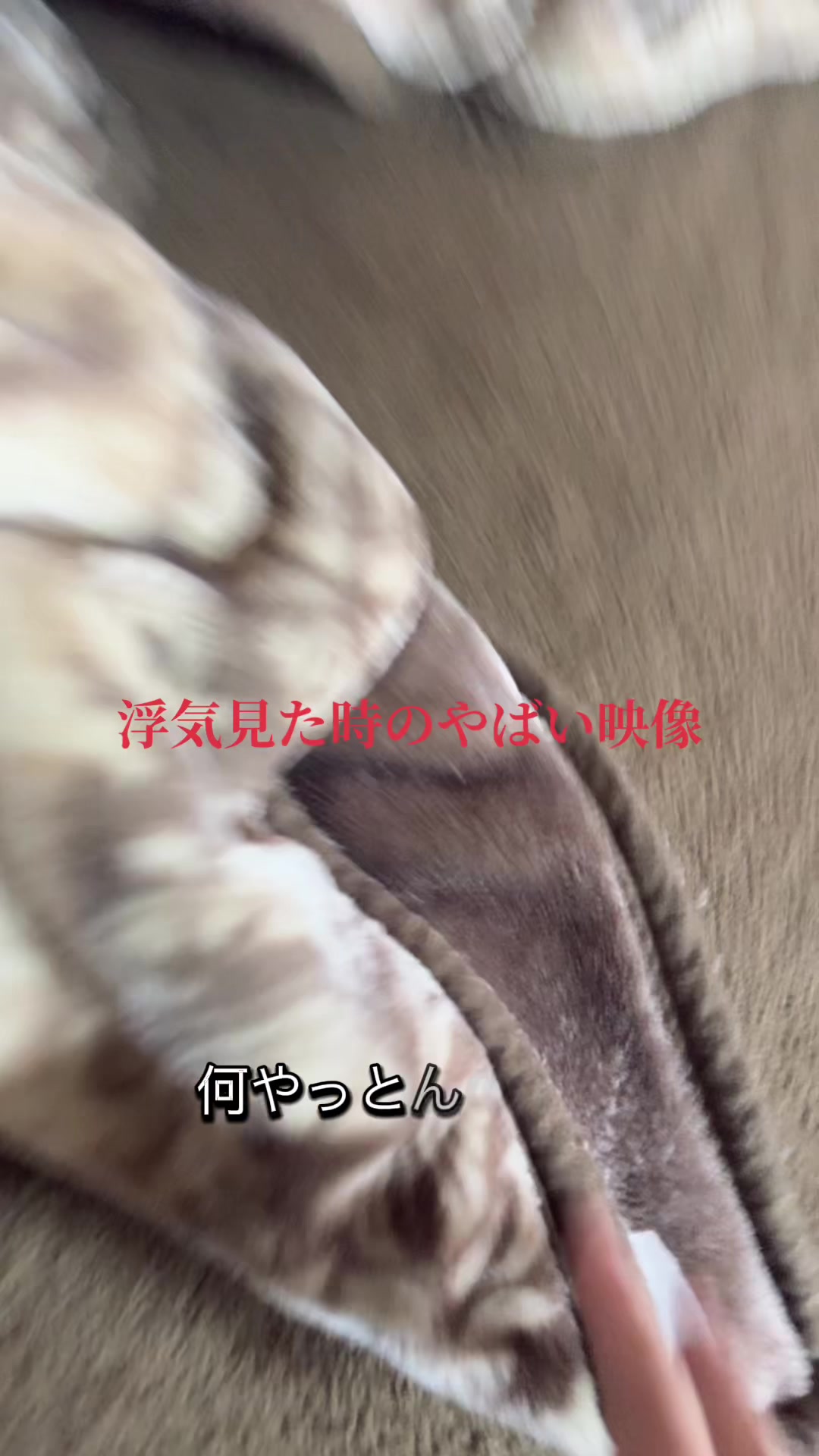 @れいぽん