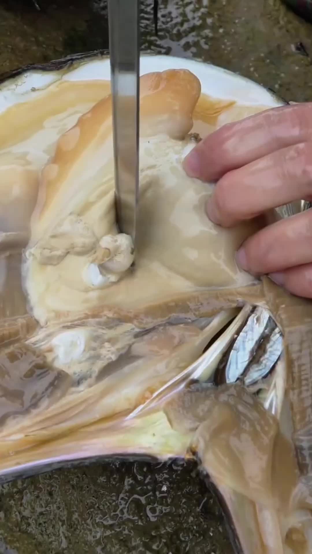 @Clamfimd86