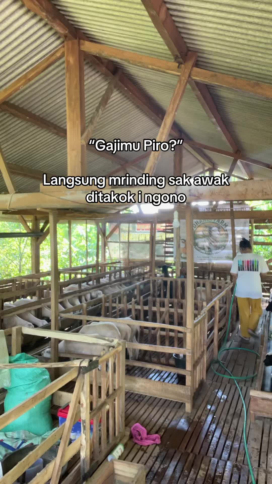 @DhanniaFarm