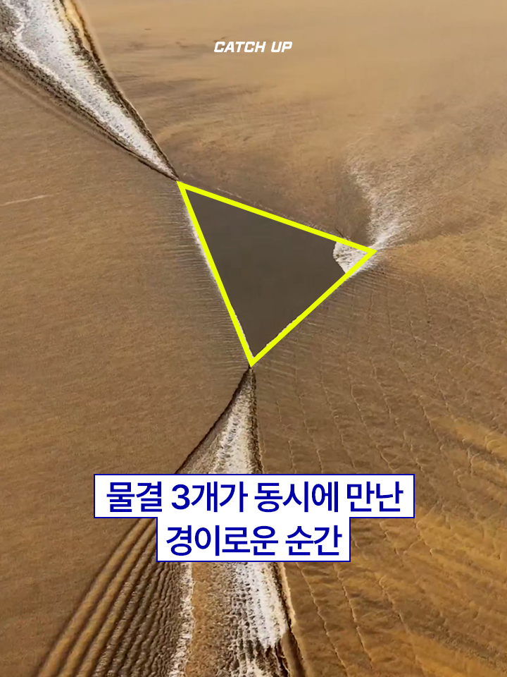 @이슈&트렌드 | 케찹