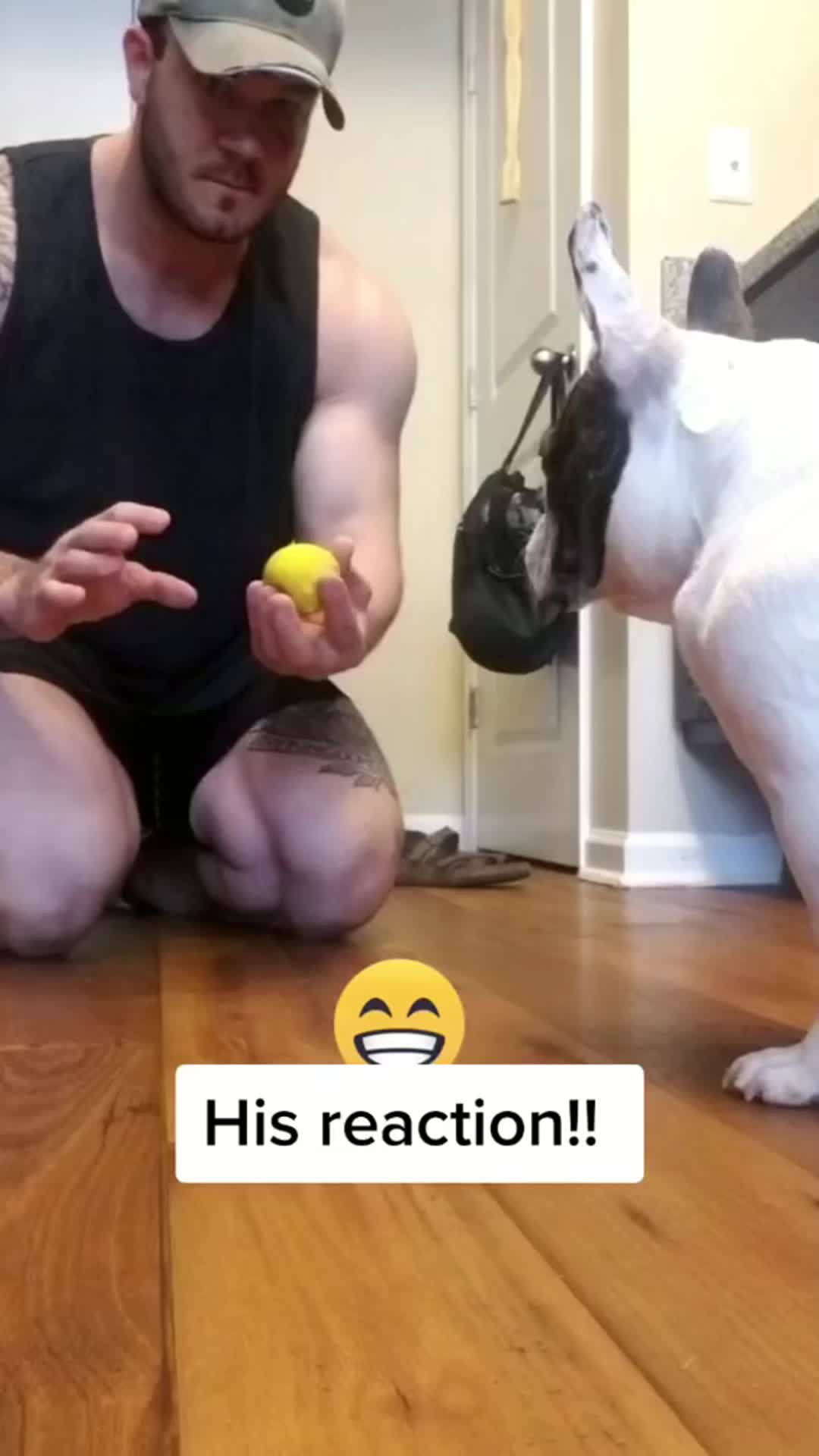@funnydog893