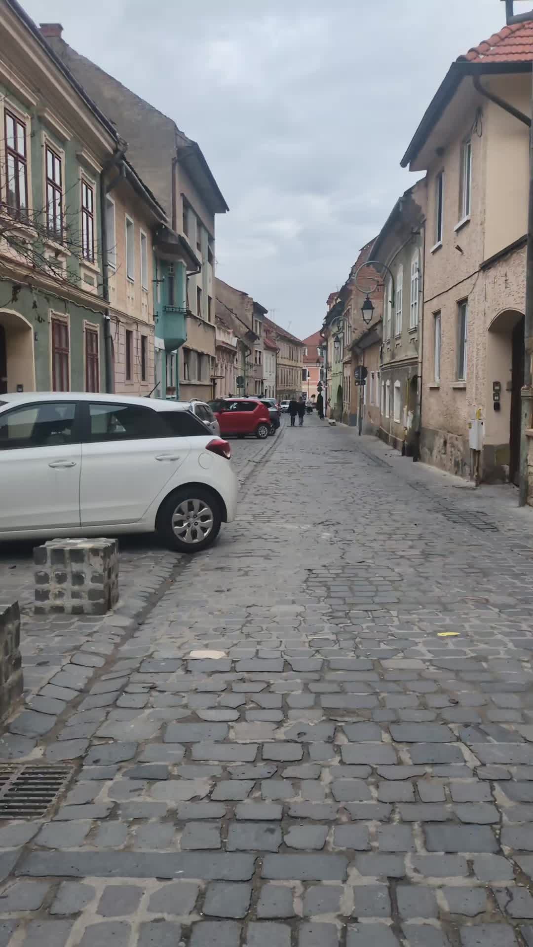 @🥇🧳Shane_travels8🥇🧳🏆