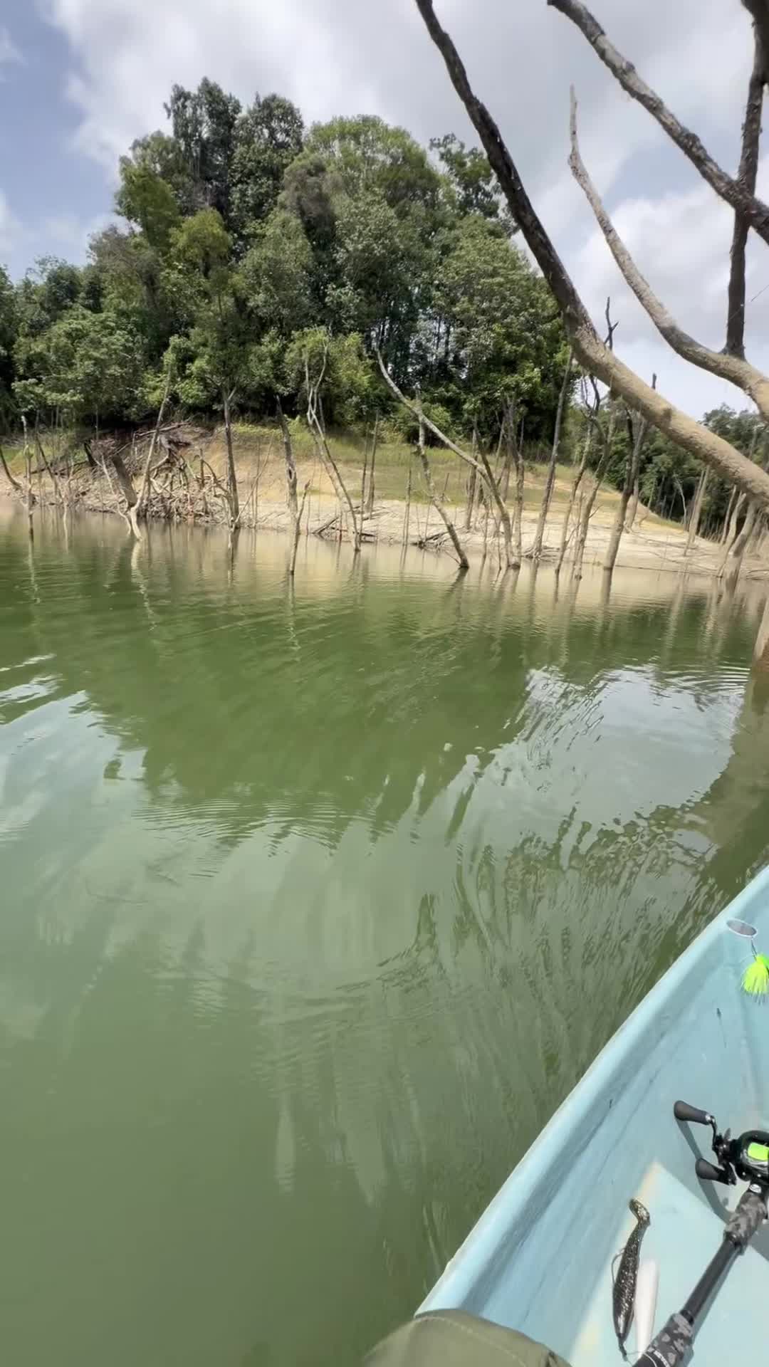 @Cacofishing.co