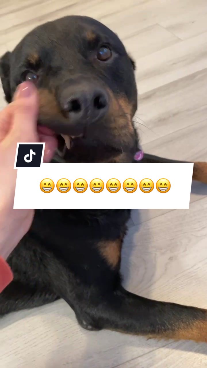@Naxx &amp; Buddy